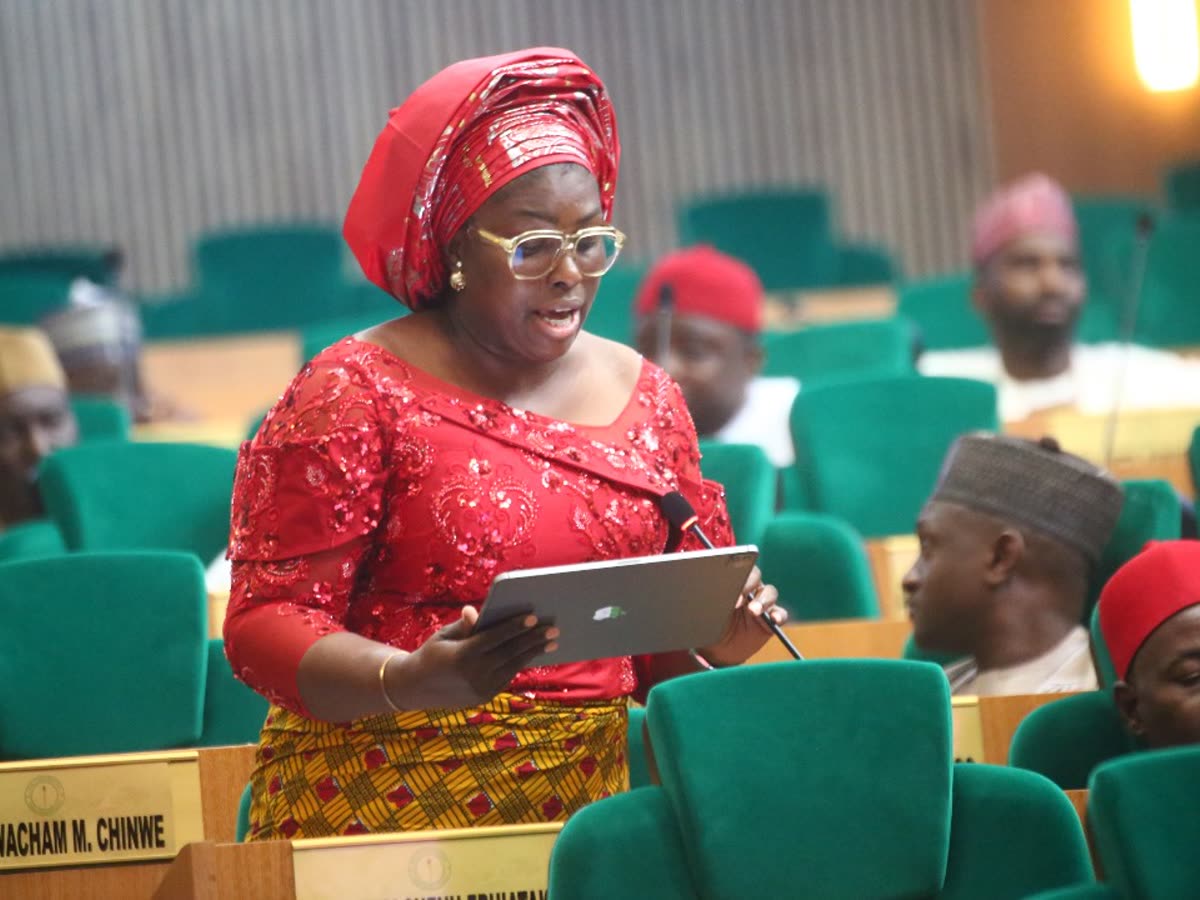 An AI-ready Niger Delta